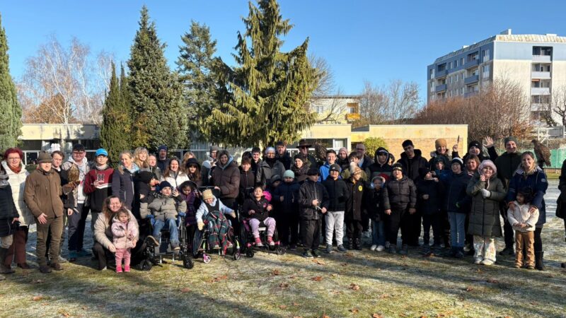 Falkner im Sonderpädagogischen Zentrum St. Pölten