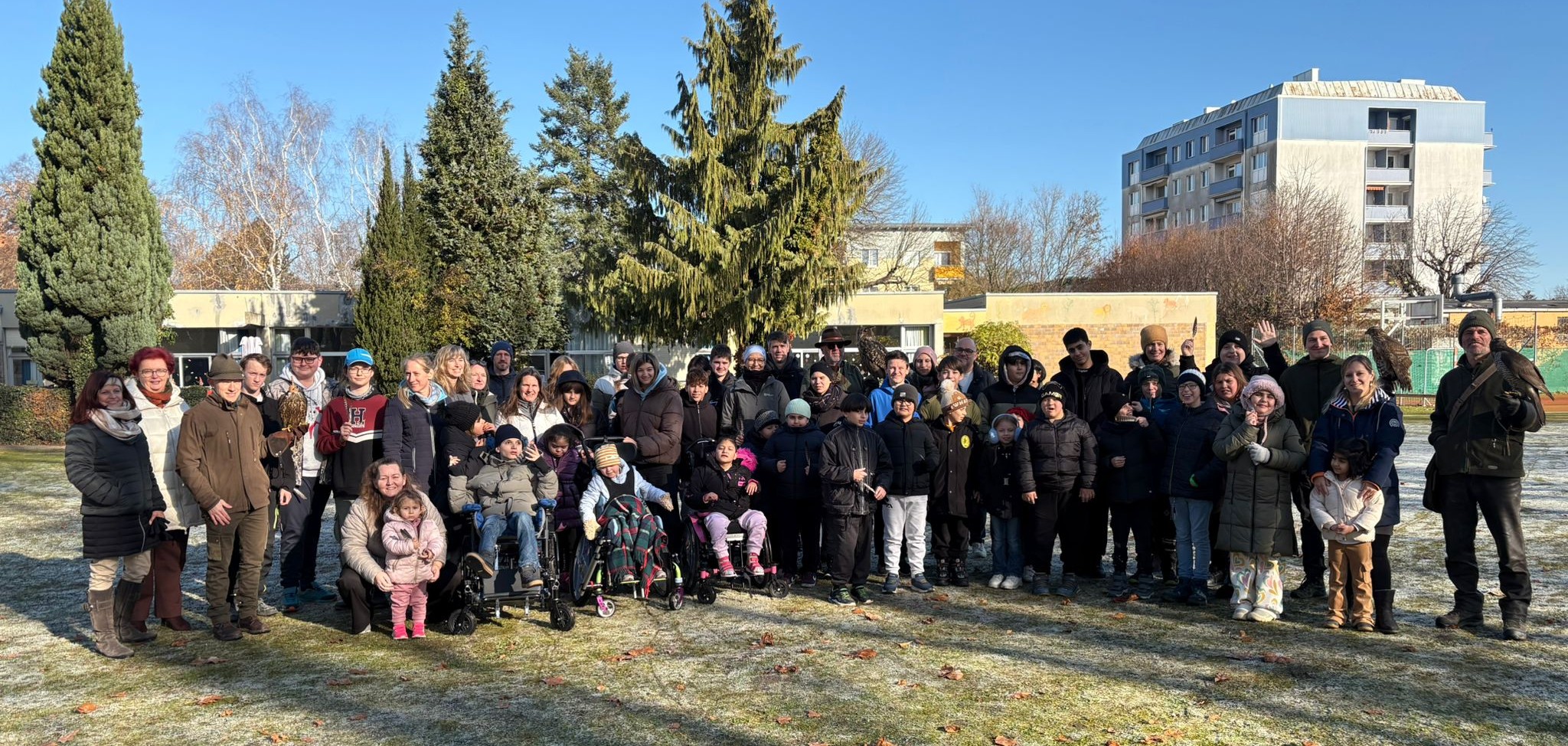 Falkner im Sonderpädagogischen Zentrum St. Pölten