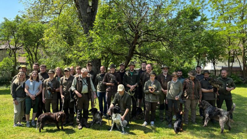 Praxisnahe Greifvogelkunde bei Jungjägerkursen in Melk und Scheibbs